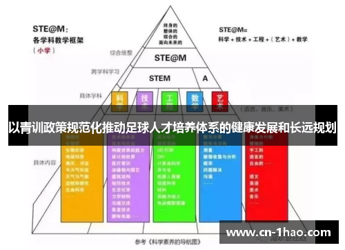 以青训政策规范化推动足球人才培养体系的健康发展和长远规划