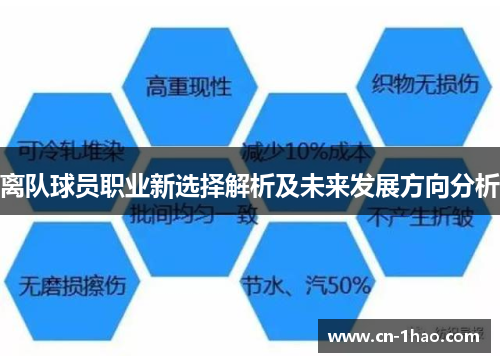 离队球员职业新选择解析及未来发展方向分析