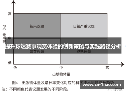 提升球迷赛事观赏体验的创新策略与实践路径分析