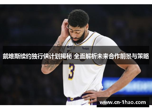 戴维斯续约独行侠计划揭秘 全面解析未来合作前景与策略